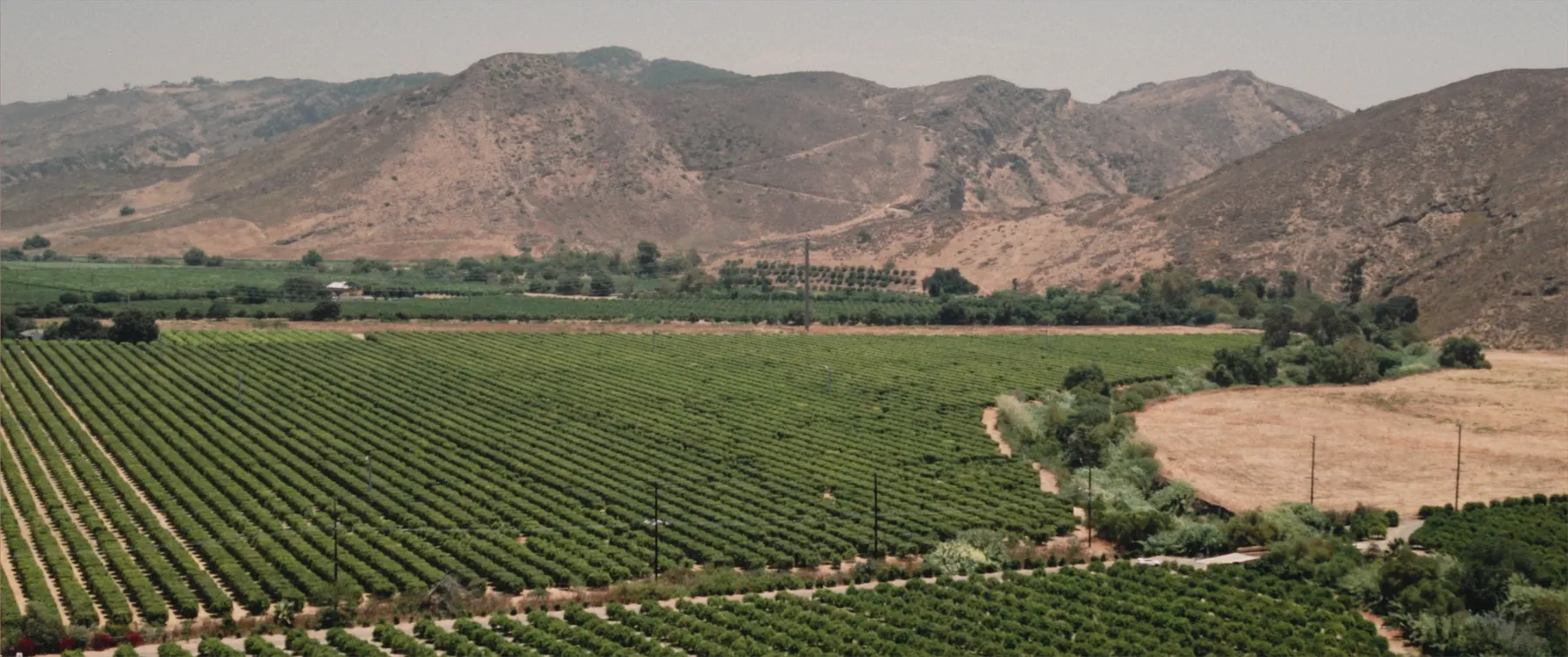 The Santa Rosa Valley vineyards and mountains seen from Maravilla Gardens in Camarillo
